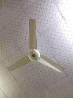 celing