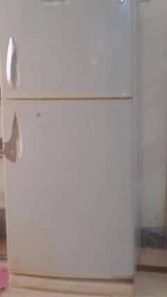 SG LARGE REFRIGERATOR- spacious ,powerful &energy Efficient