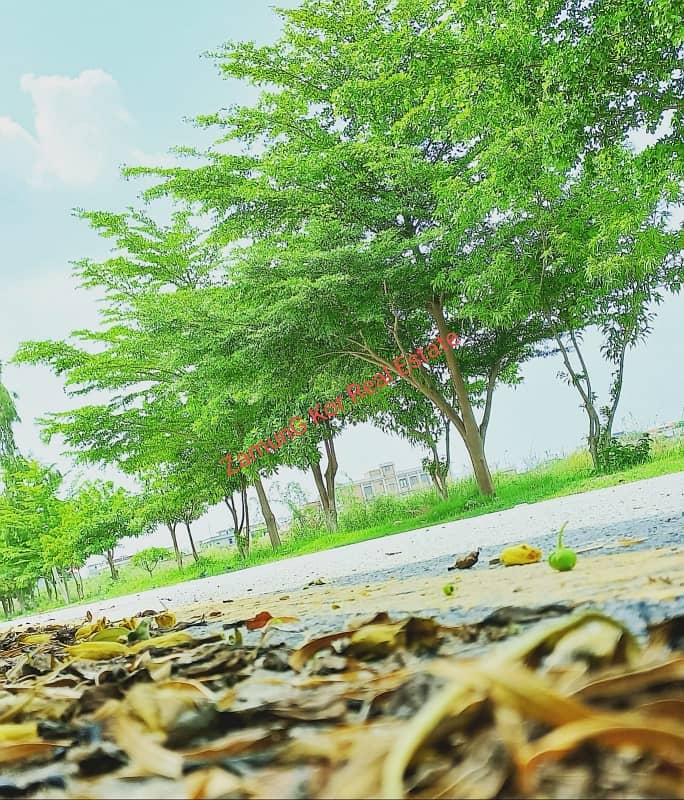 Sector D | Next Street to Main Central Boulevard | 1 Minute walking distance to Northern Bypass 0