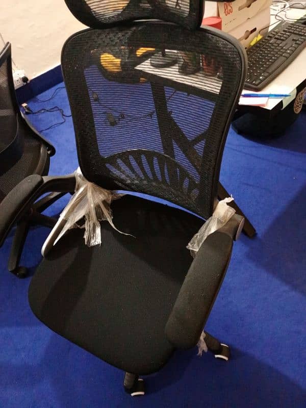 Computer Chair in Great Condition 0
