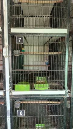 Cages