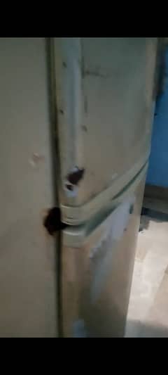 Haier