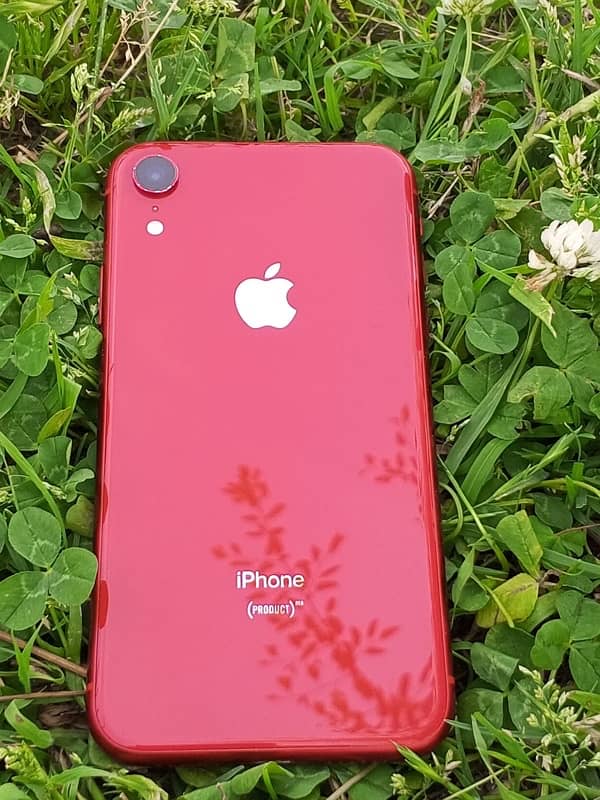iPhone XR 0