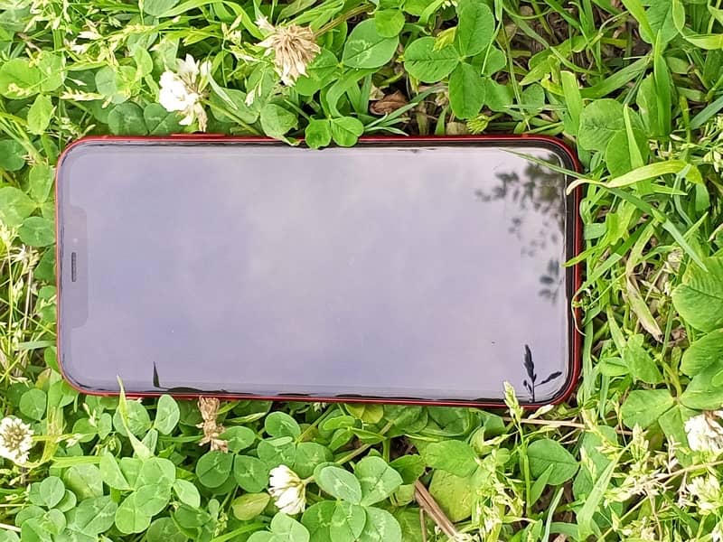 iPhone XR 1