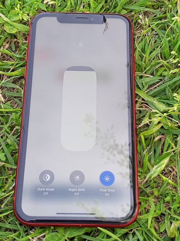iPhone XR 2