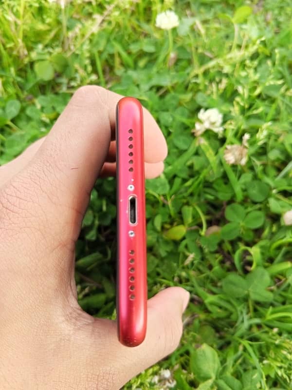 iPhone XR 6