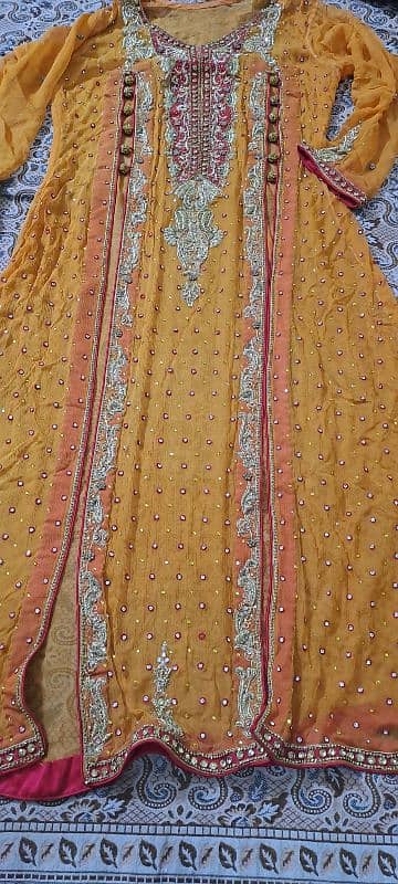 Embroidered  Net Gown 0