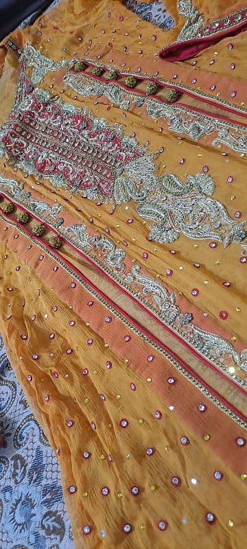 Embroidered  Net Gown 1