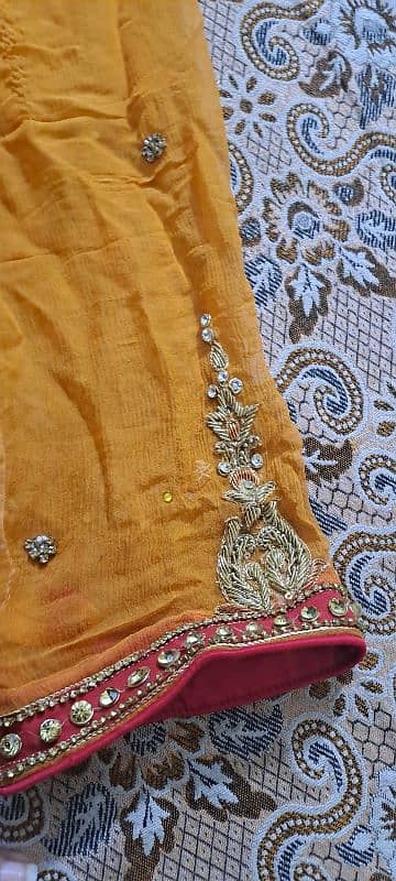 Embroidered  Net Gown 2