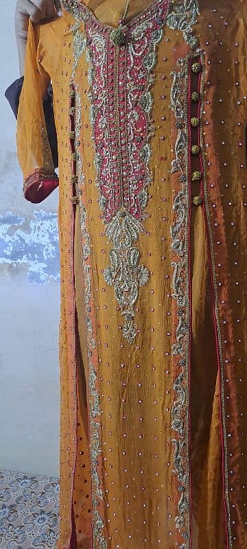 Embroidered  Net Gown 4