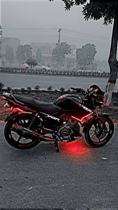 Yamaha Ybr 125 Modified 15