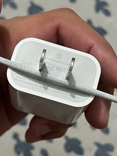 apple