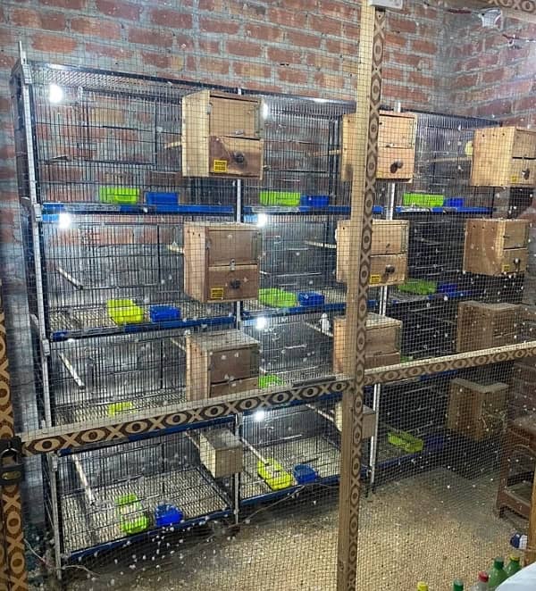 Cages and boxes 0