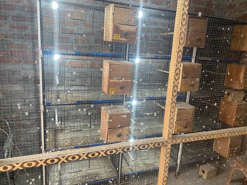 Cages and boxes 1