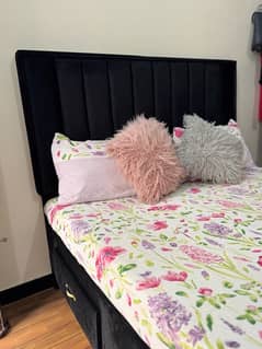 black velvet bed