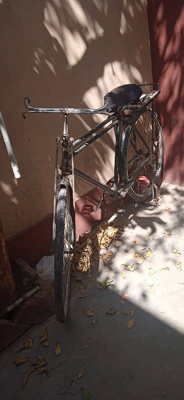 bey cycle 0