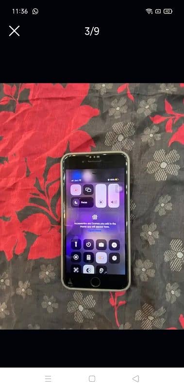 7plus official pta approved 256 storage 5