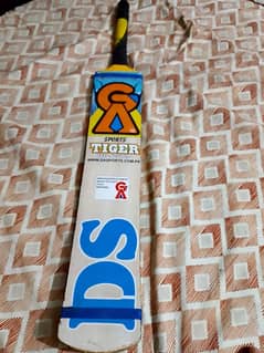 cricket