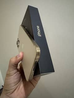 iphone 12 Pro Max Pta Approved