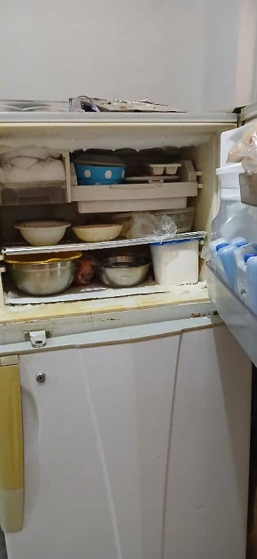 waves large fridge for 5 to 7 family members 1