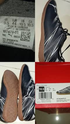 puma