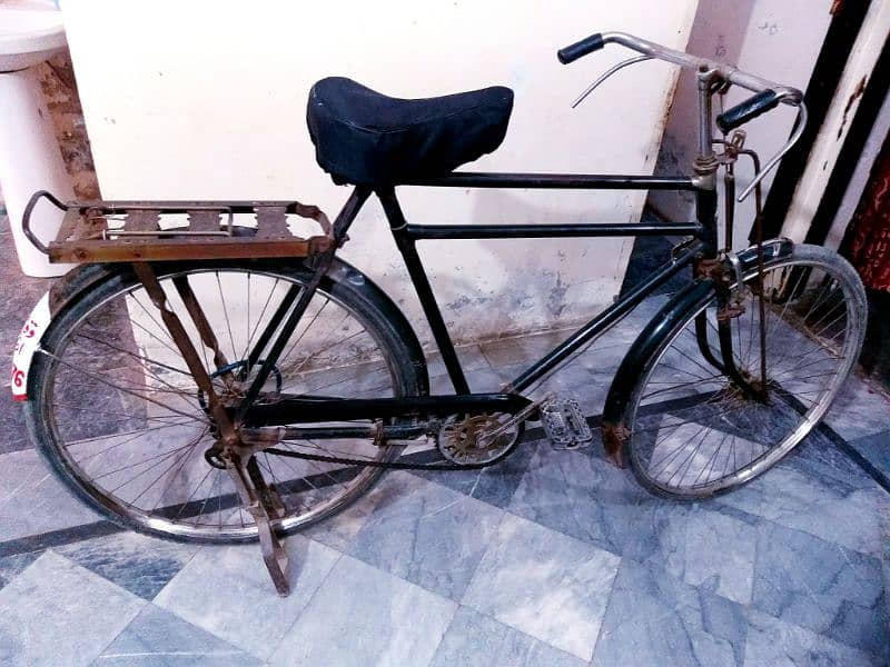Sohrab 24" 0