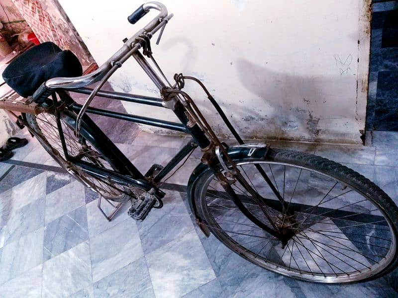Sohrab 24" 1
