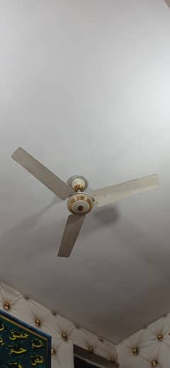 Fan