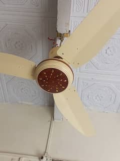CEILING