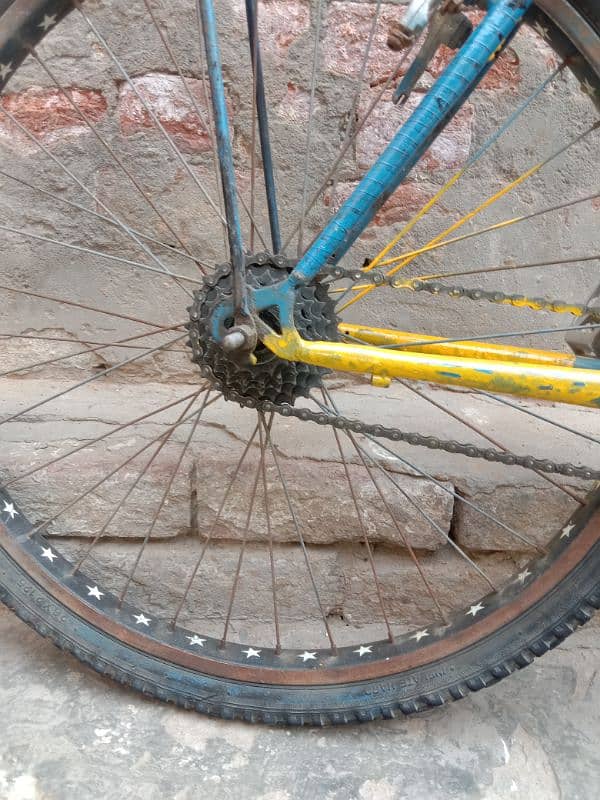 Bicycle pheonix 5