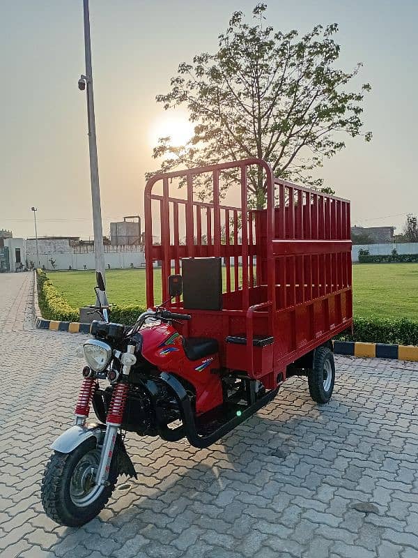 Rickshaw loader TBM 200-LD 1