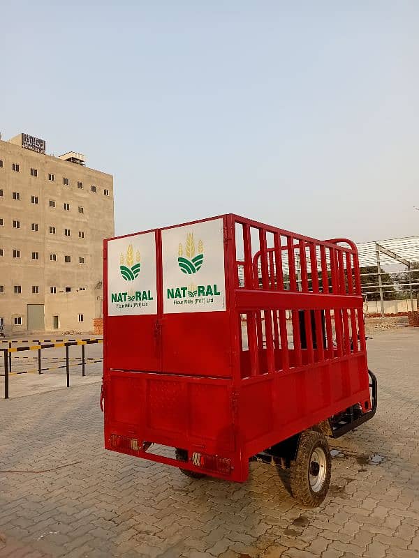 Rickshaw loader TBM 200-LD 3