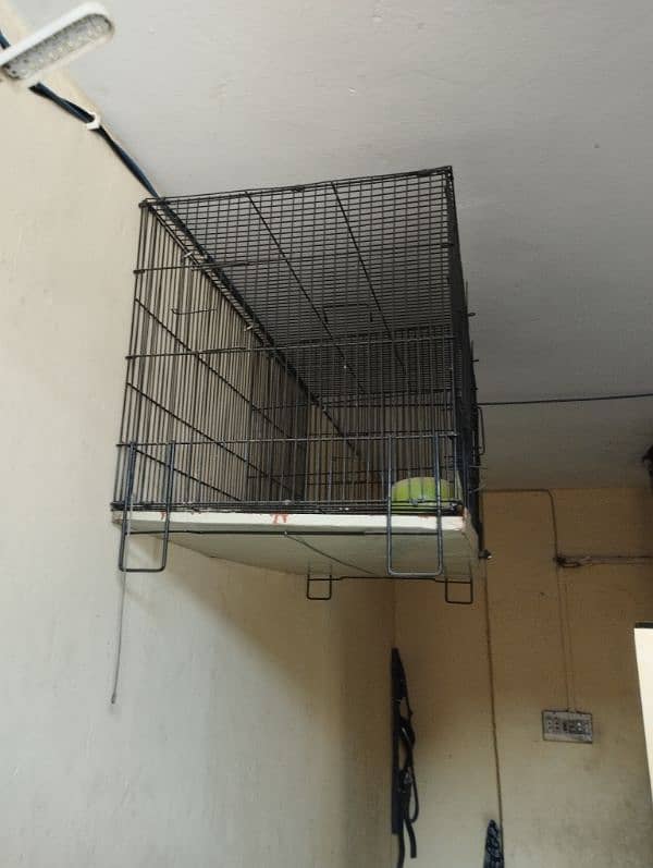4 portion cage 10