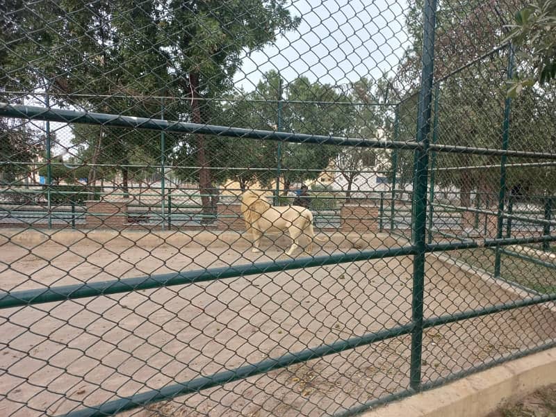 8 Marla Possession Utility Paid Plot Number 764 Eastern For Sale 5