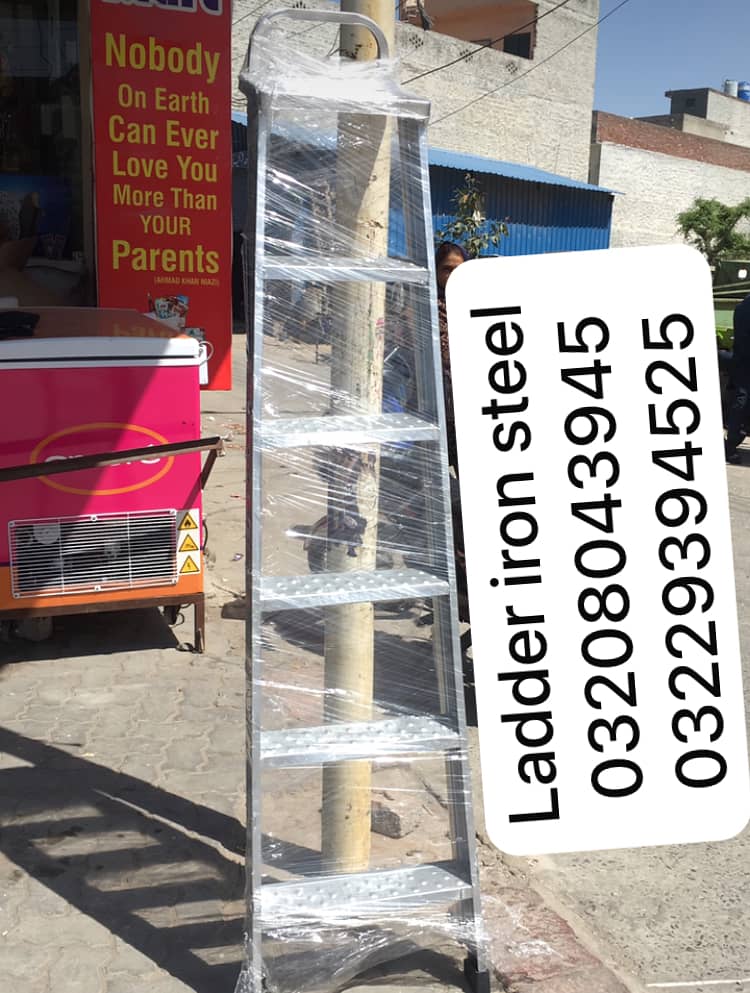 folding ladder 1