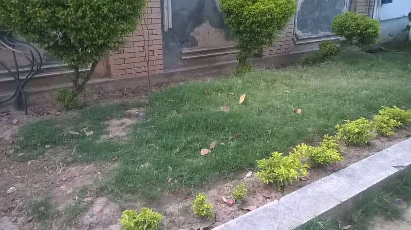 D12/2 40x80 plot for sale 1