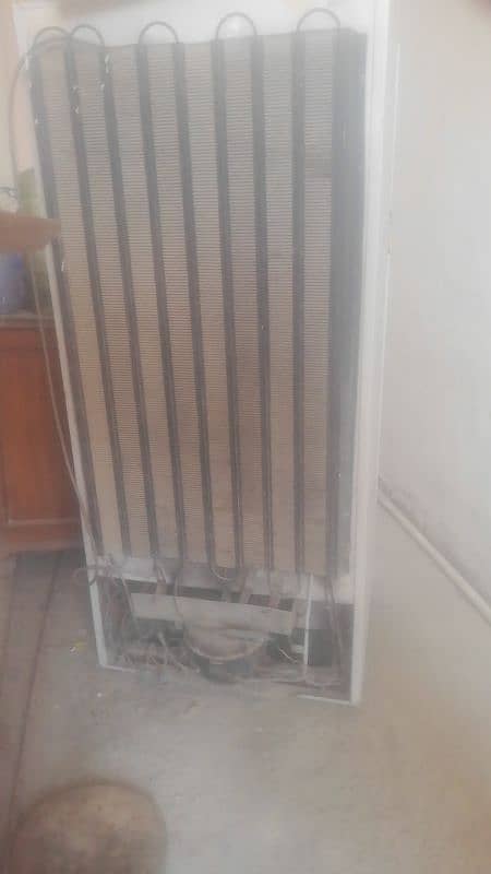 dowlance medium size freezer 2