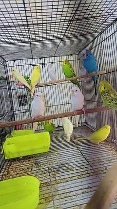 mix