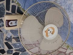fan.