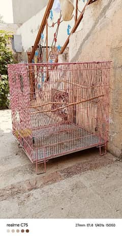 birds cage