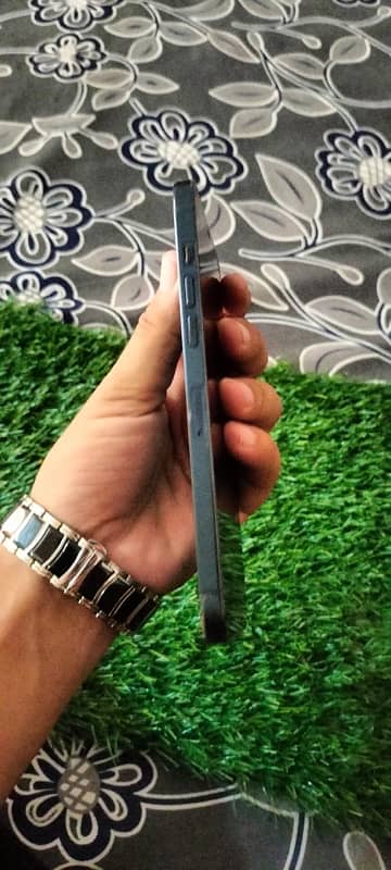 contect 03109196992   WattsApp 03185454462 9