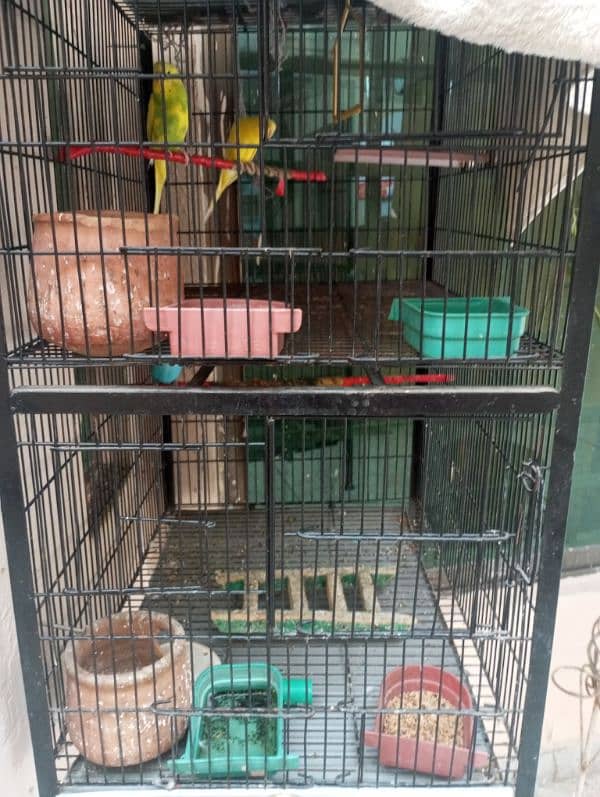 double storey cage with birds 2