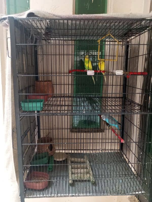double storey cage with birds 3