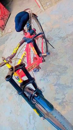 Cycle for sell. .