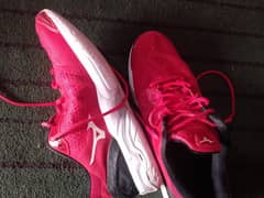 Squash, badminton, and tennis mizono Original shoes