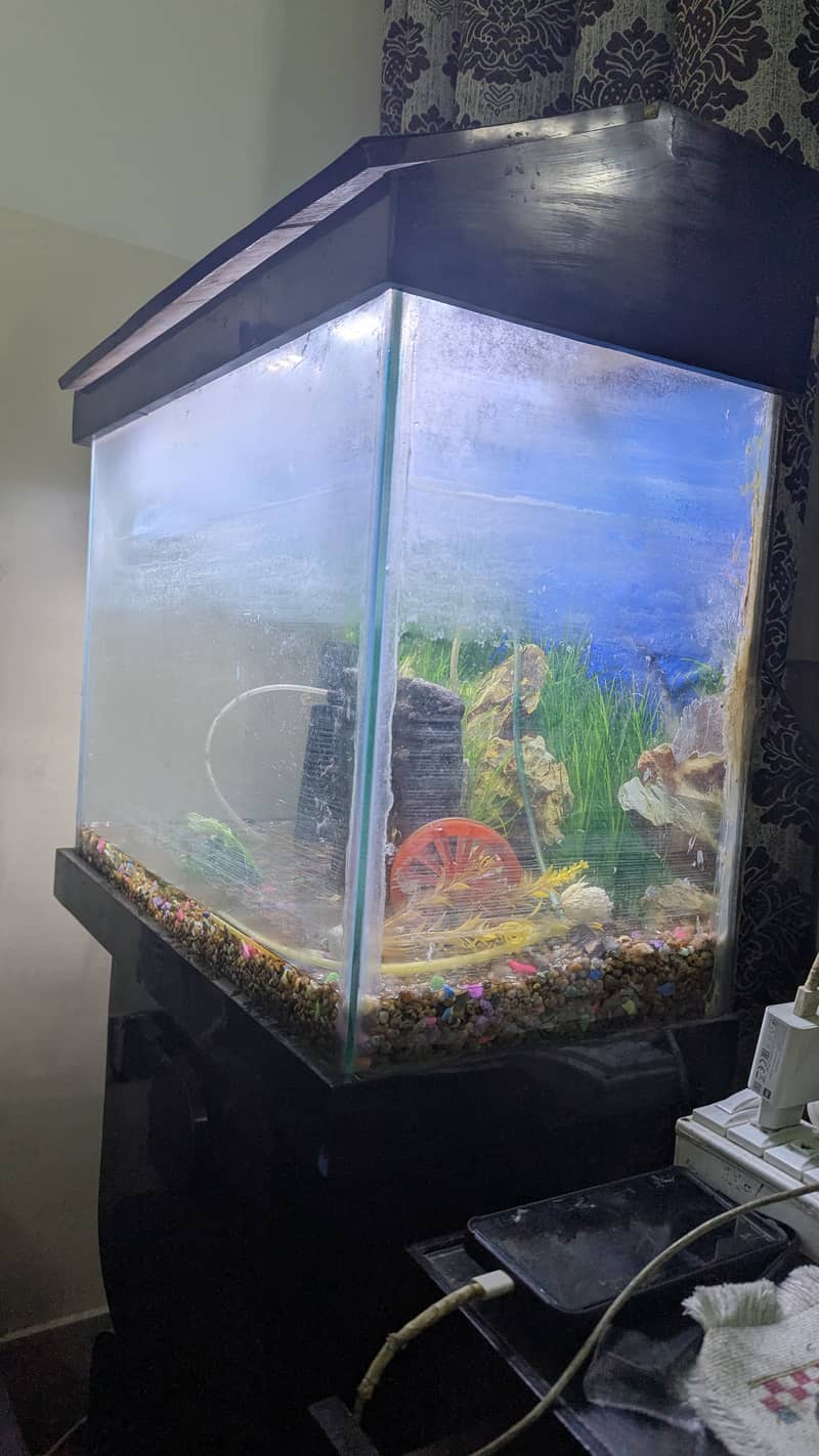 Aquarium with Full set Best Offer. . !!! 0