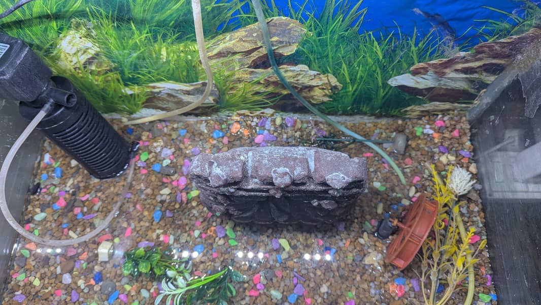 Aquarium with Full set Best Offer. . !!! 1