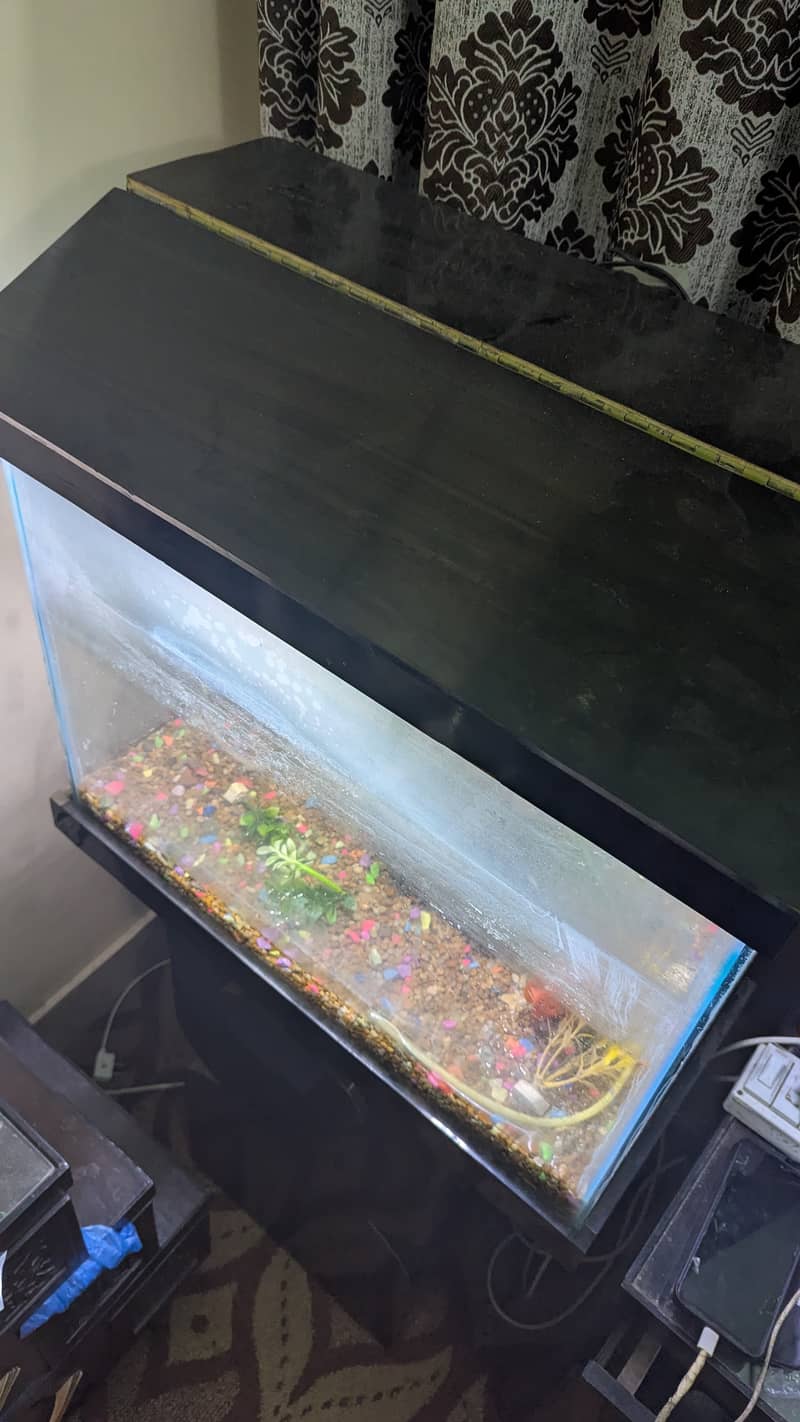 Aquarium with Full set Best Offer. . !!! 2
