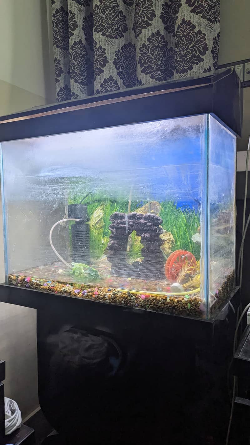 Aquarium with Full set Best Offer. . !!! 3