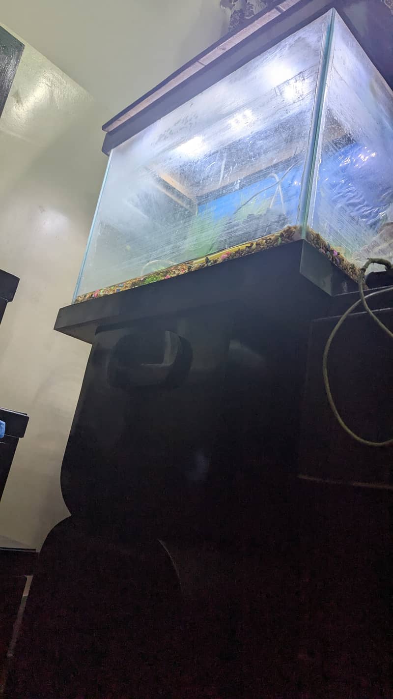 Aquarium with Full set Best Offer. . !!! 4